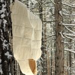 Add to Wool Sleeping Bag Trek Pro hanging from a tree